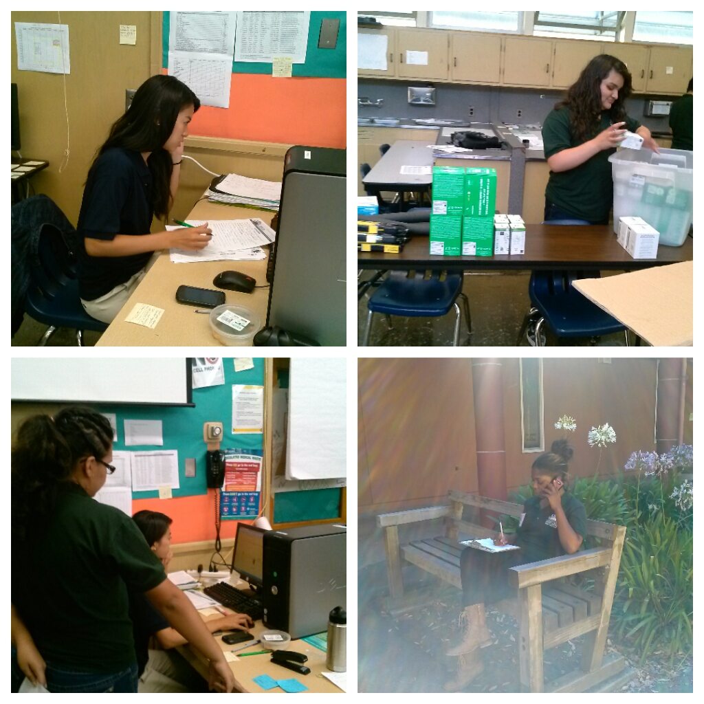 The Hayward Heat team hard at work! Top left: Debbie scheduling appointments; top right: Sandy packing inventory; bottom right: Dwonnya scheduling calls, bottom left: Debbie and Maria reviewing paperwork