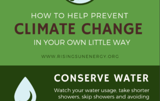 screen shot how to prevent climate change